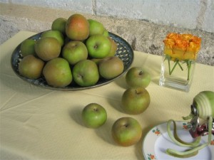 production et vente de pommes bio, le Biau Verger AB, Cheffes et Étriché, Maine-et-Loire